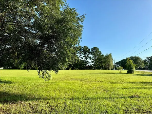 a view of yard with green space
