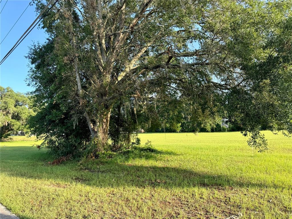 1107 Southwest Troy Street Lake City, FL 32024 - Photo 4 of 9 a view of yard with green space
