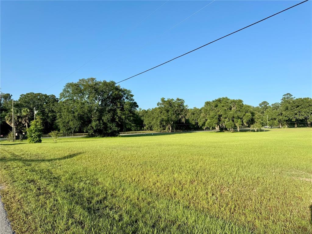 1107 Southwest Troy Street Lake City, FL 32024 - Photo 5 of 9 a view of outdoor space and yard