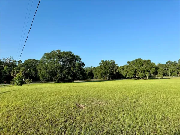 a view of a field with a trees in the background