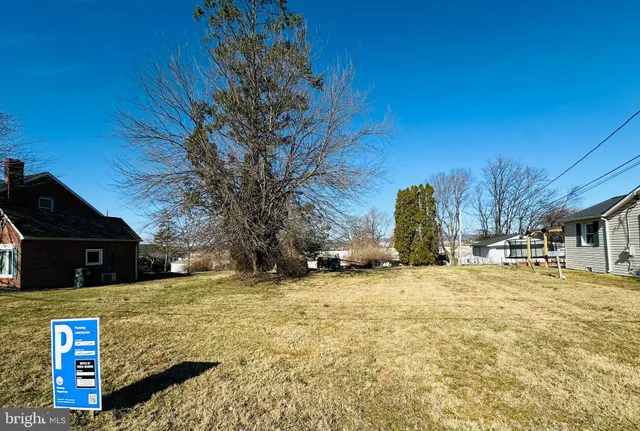 a view of a yard with a tree