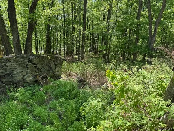 $75,000 | 0 Polster, Cochecton, NY 12726