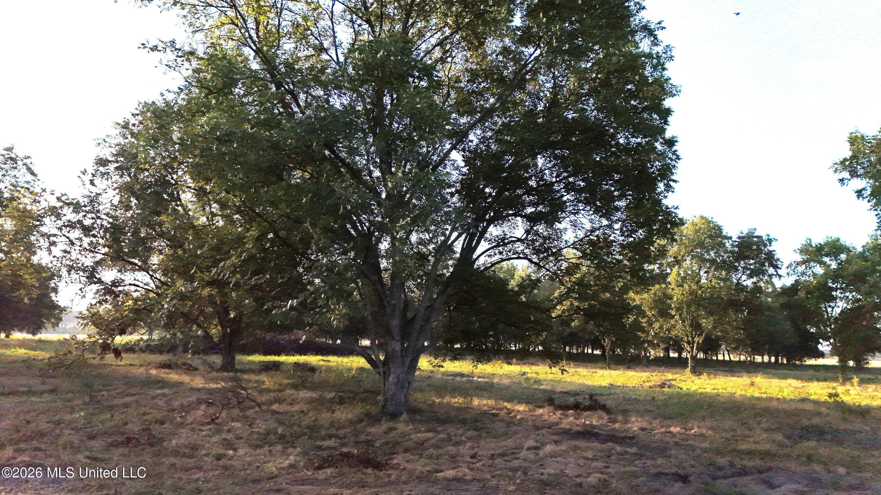 Interstate Road Shaw, MS 38773 - Photo 15 of 31 DJI_20260924090422_0625_D