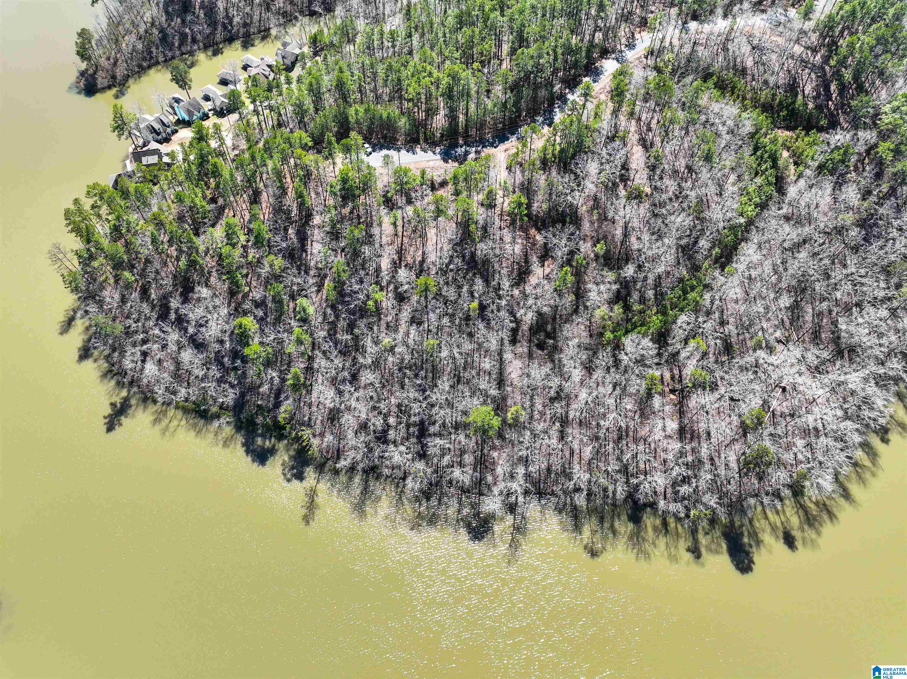 0 Preserve Road, Unit LOT 2 Rockford, AL 35136 - Photo 4 of 9