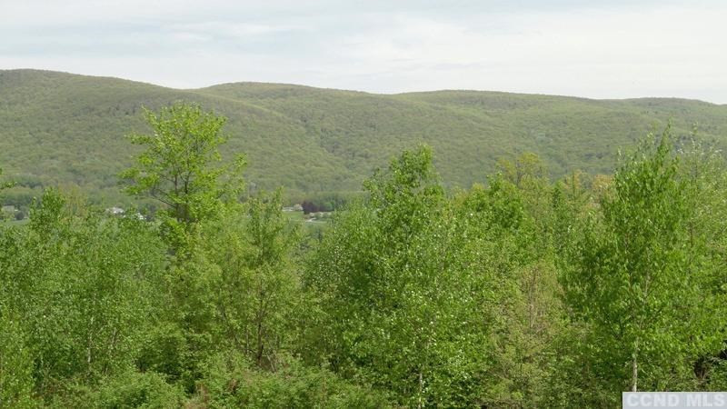 0 Rt 22 Millerton, NY 12546 - Photo 2 of 8 Photo 2