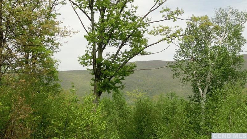 0 Rt 22 Millerton, NY 12546 - Photo 3 of 8 Photo 3
