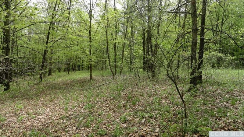 0 Rt 22 Millerton, NY 12546 - Photo 4 of 8 Photo 4