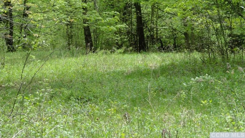 0 Rt 22 Millerton, NY 12546 - Photo 5 of 8 Photo 5