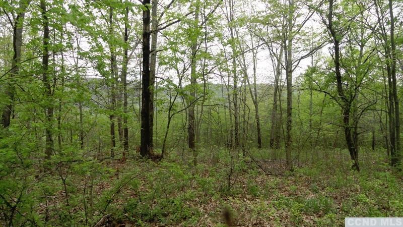 0 Rt 22 Millerton, NY 12546 - Photo 6 of 8 Photo 6