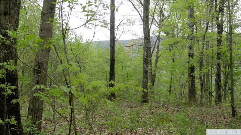 0 Rt 22 Millerton, NY 12546 - Photo 7 of 8 Photo 7