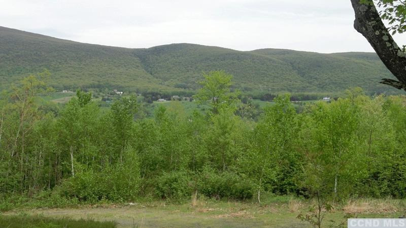0 Rt 22 Millerton, NY 12546 - Photo 8 of 8 Photo 8