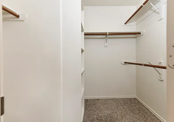 $1,950 | 51 Wickerdale Place, The Woodlands, TX 77382