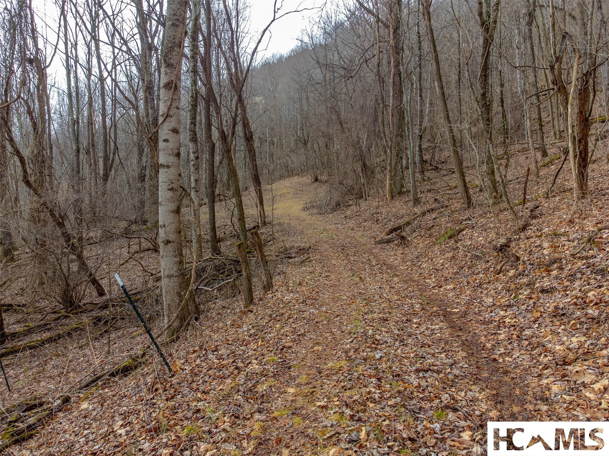 1241 Henry Road Franklin, NC 28734 - Photo 56 of 67 Gallery Image 56