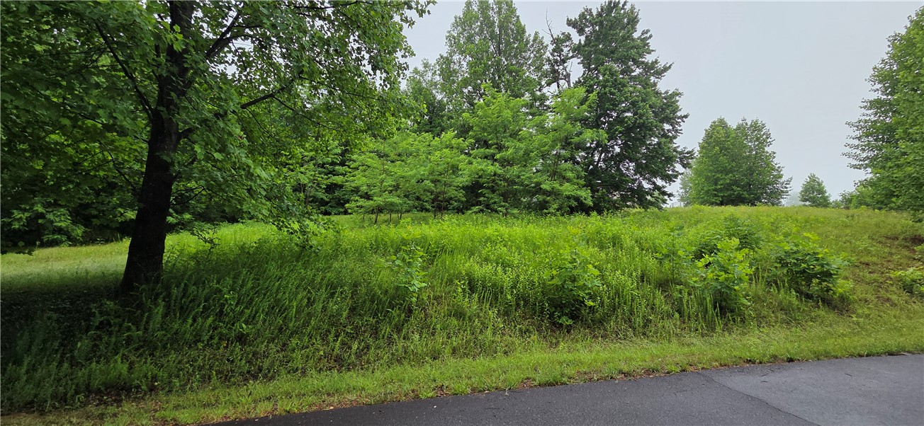 1 Lenore B Lane Mountain Rest, SC 29664 - Photo 6 of 30