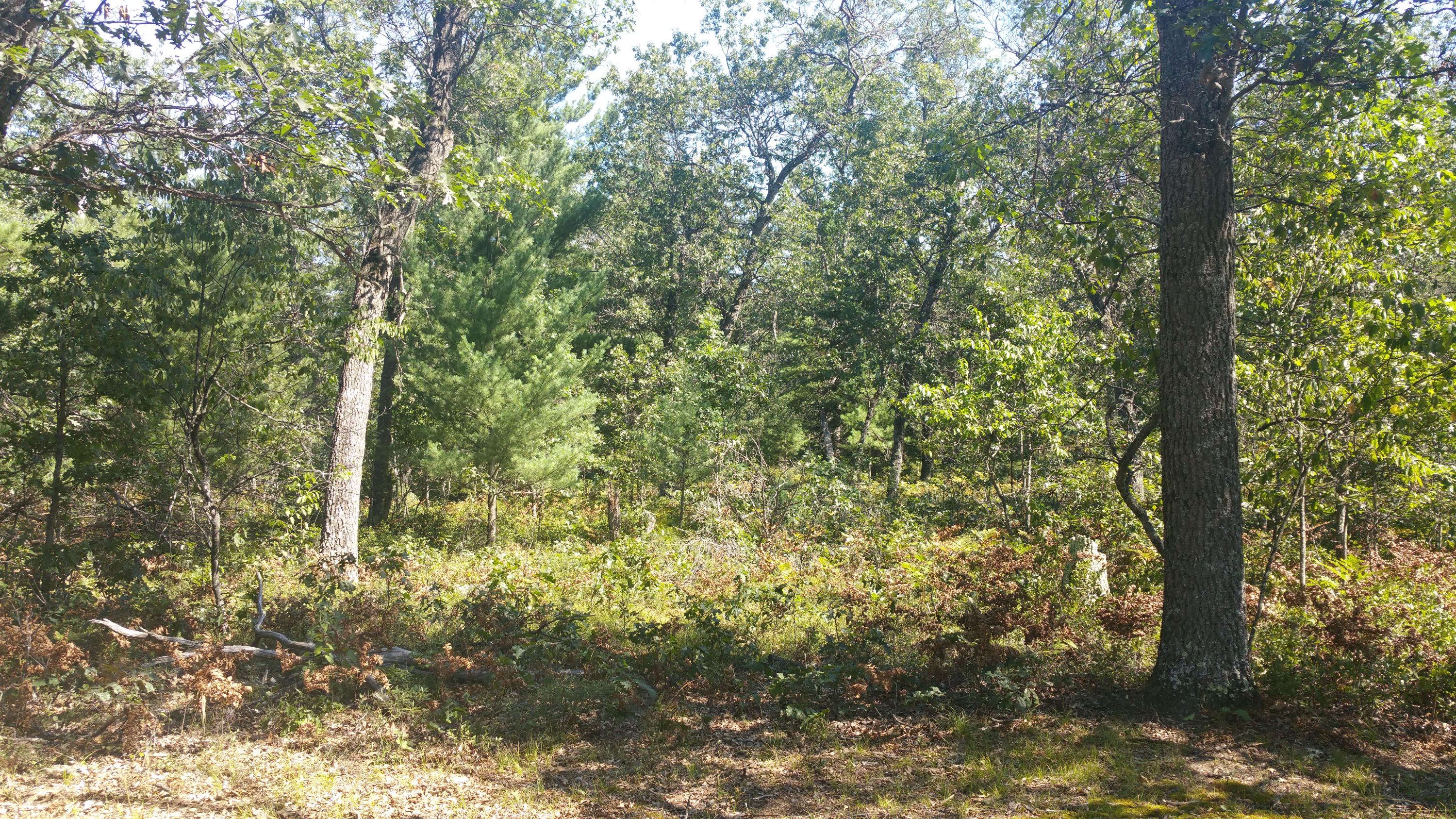 7013 West Doctors Club Road Curran, MI 48728 - Photo 35 of 46 Gallery Image 35