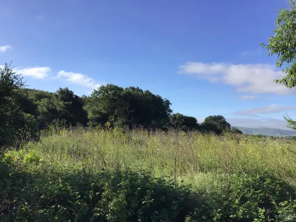 $480,000 | 0 Cordelia Road, Fairfield, CA 94534