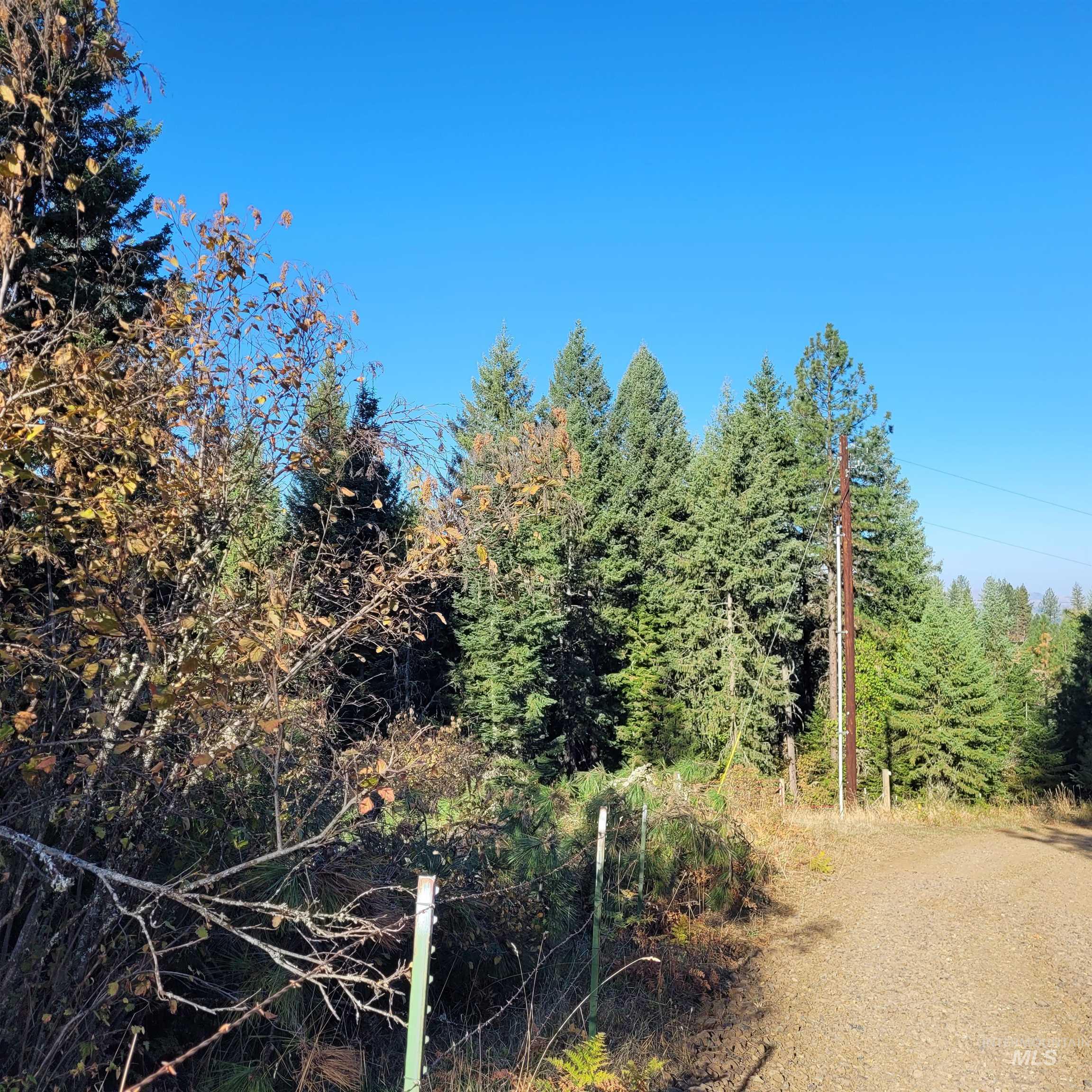 Parcel A Elk City Wagon Road Stites, ID 83552 - Photo 10 of 10