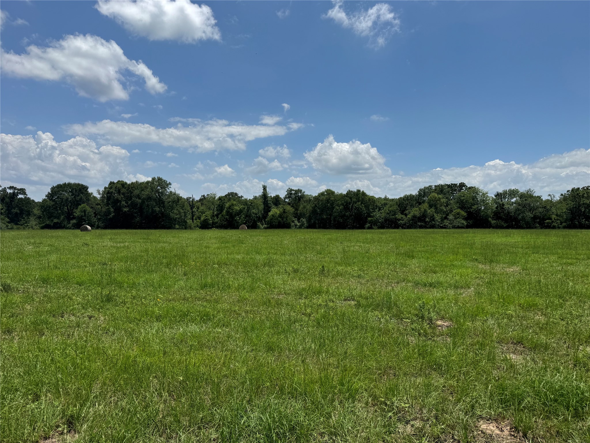 Tbd 18-ac Tbd 18-ac Baker Ridge Road Midway, TX 75852 - Photo 41 of 43
