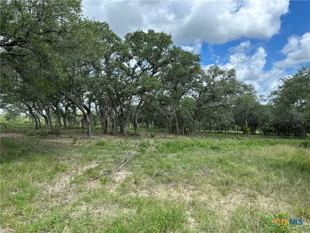 $245,000 | 1776 Fm 1351, Goliad, TX 77963
