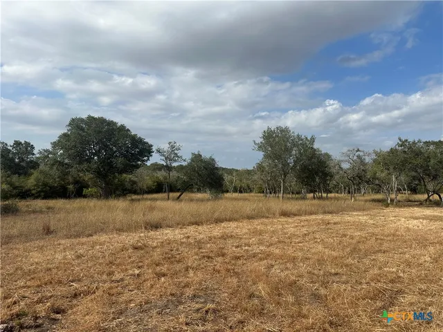 a view of dirt field with trees