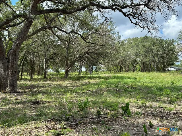 a view of a park with large trees