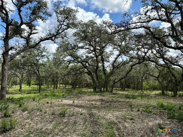 a view of outdoor space with trees all around