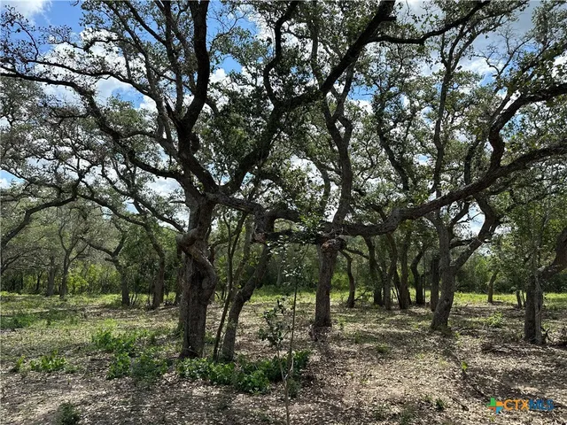 a view of outdoor space and trees