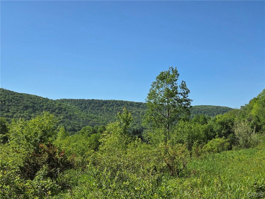 446 Nys Route Cuba, NY 14727 - Photo 1 of 47