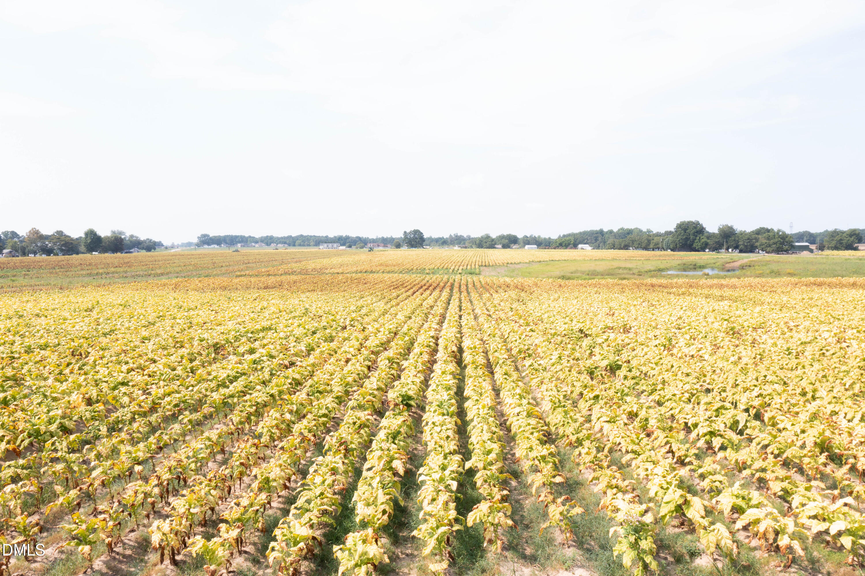 0 Red Hill Church Road Coats, NC 27521 - Photo 5 of 29 DJI_0710