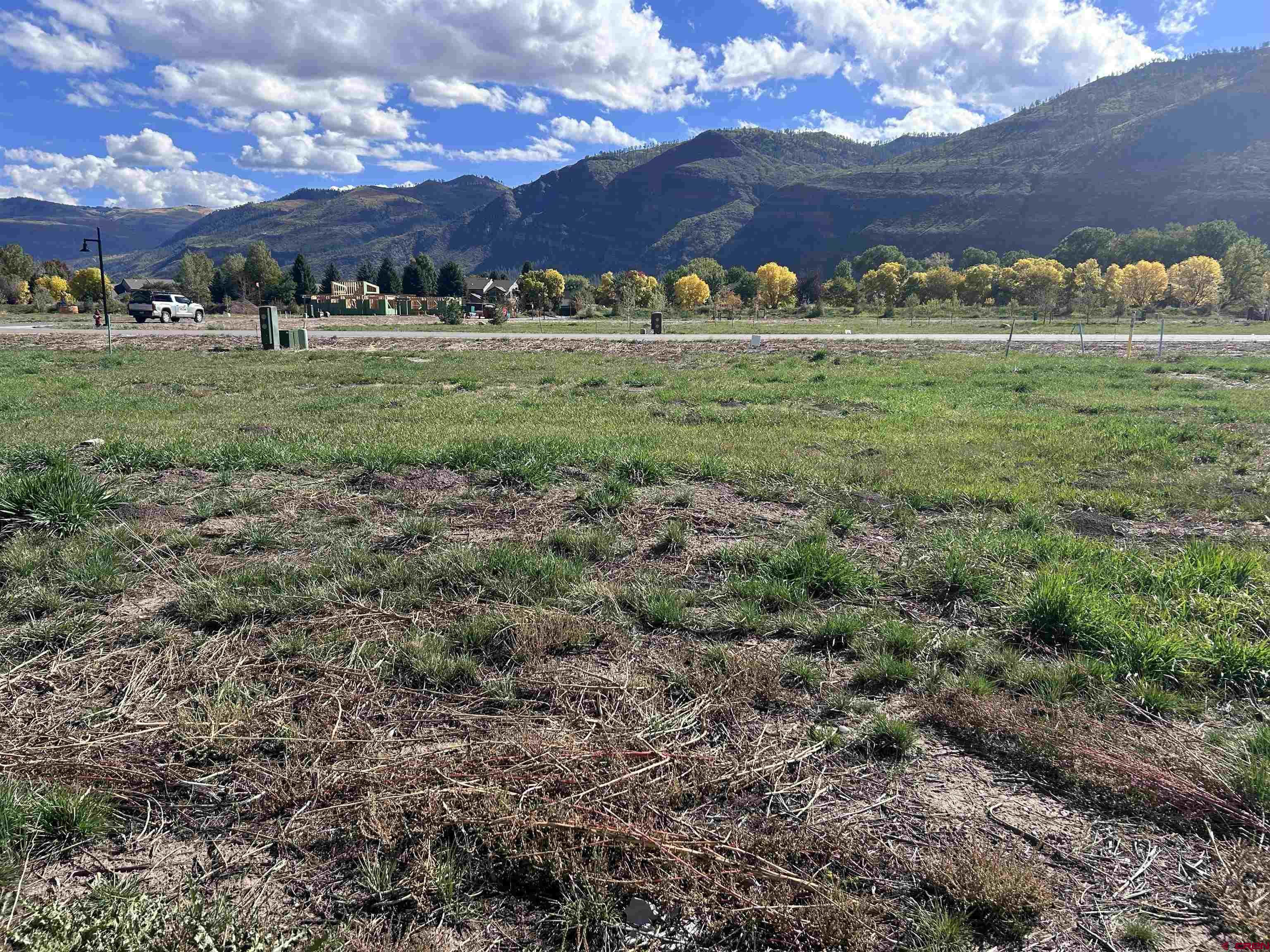 127 West Dalton Road Durango, CO 81301 - Photo 2 of 31 a view of a big yard with table and chairs