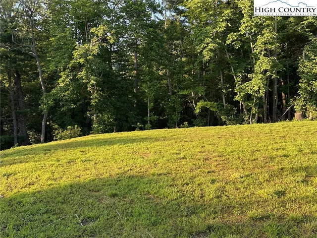 a view of large trees with yard