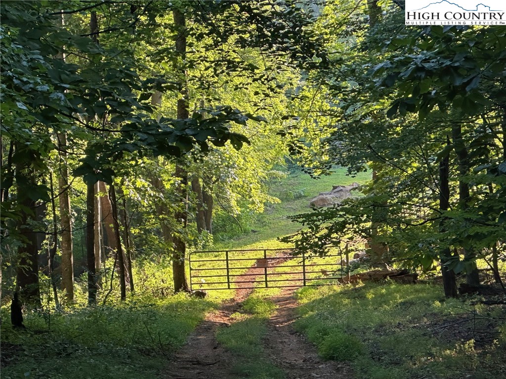 15 Little Rock Canyon Road Lenoir, NC 28645 - Photo 6 of 9 a view of a big yard with large trees