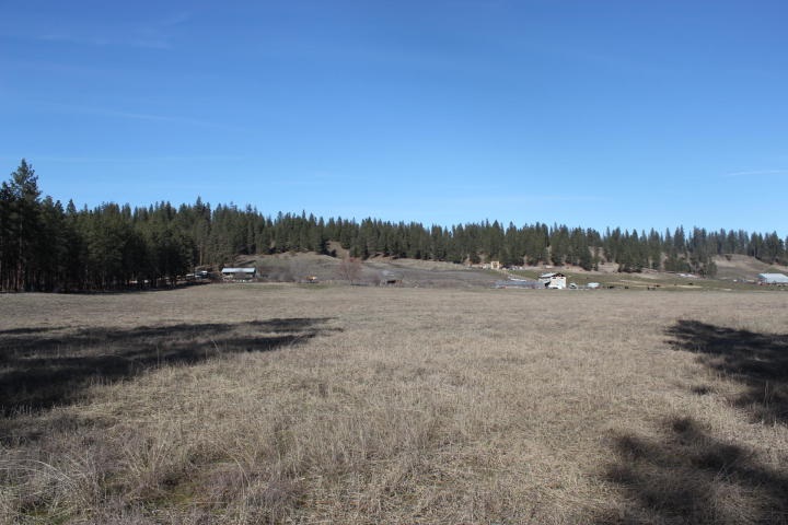 2034 Ray Anderson Road Kettle Falls, WA 99141 - Photo 3 of 9 Gallery Image 3