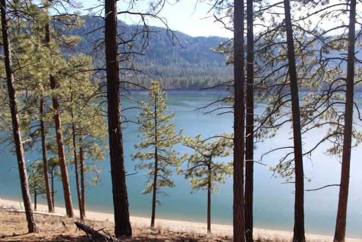 2034 Ray Anderson Road Kettle Falls, WA 99141 - Photo 6 of 9 Gallery Image 6