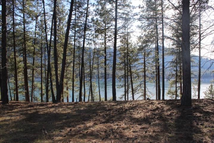 2034 Ray Anderson Road Kettle Falls, WA 99141 - Photo 7 of 9 Gallery Image 7