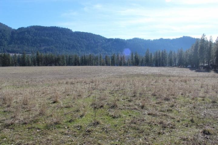 2034 Ray Anderson Road Kettle Falls, WA 99141 - Photo 8 of 9 Gallery Image 8