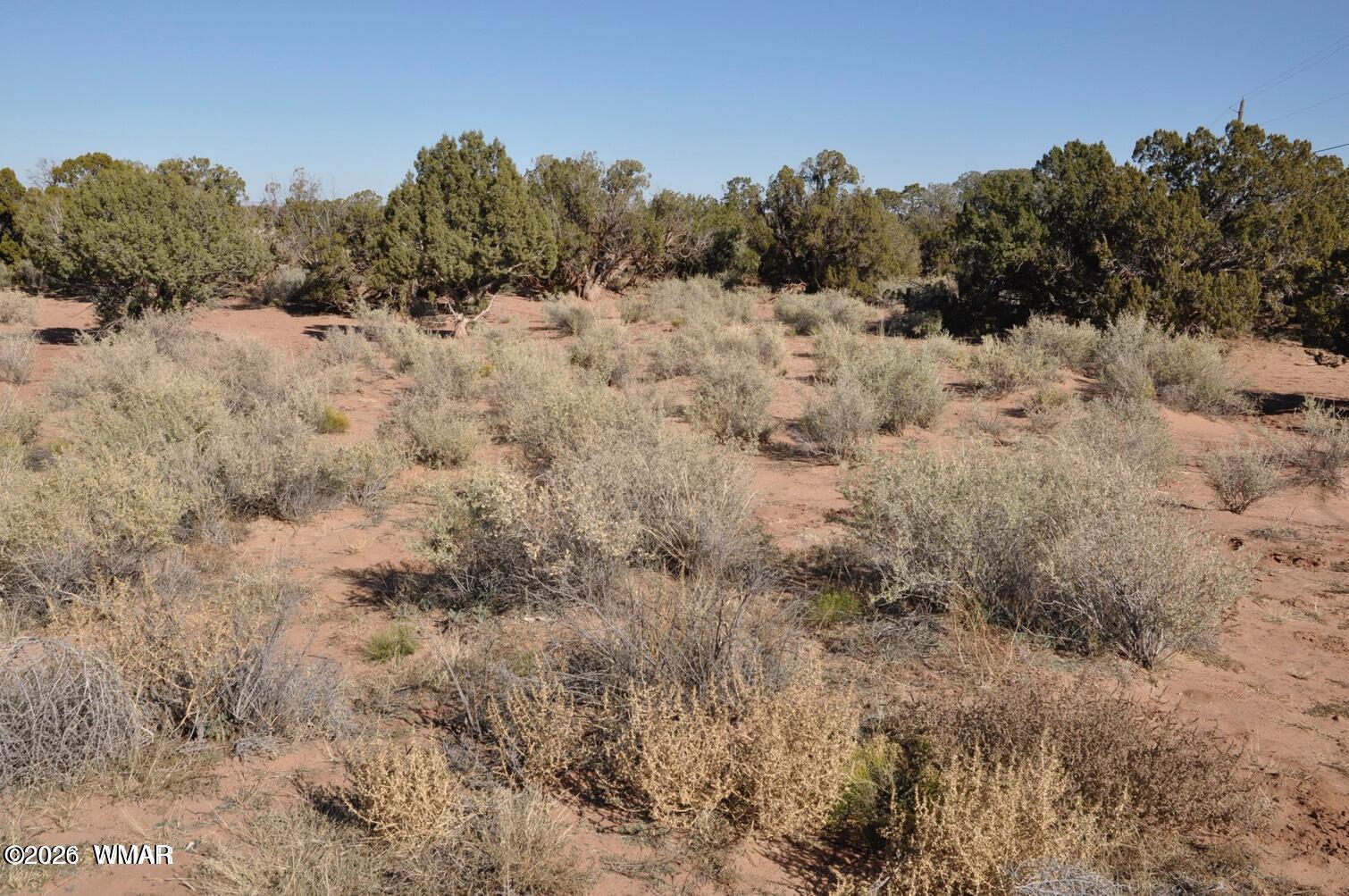 5039 Pima Road Snowflake, AZ 85937 - Photo 4 of 21 a view of a covered with trees in the background