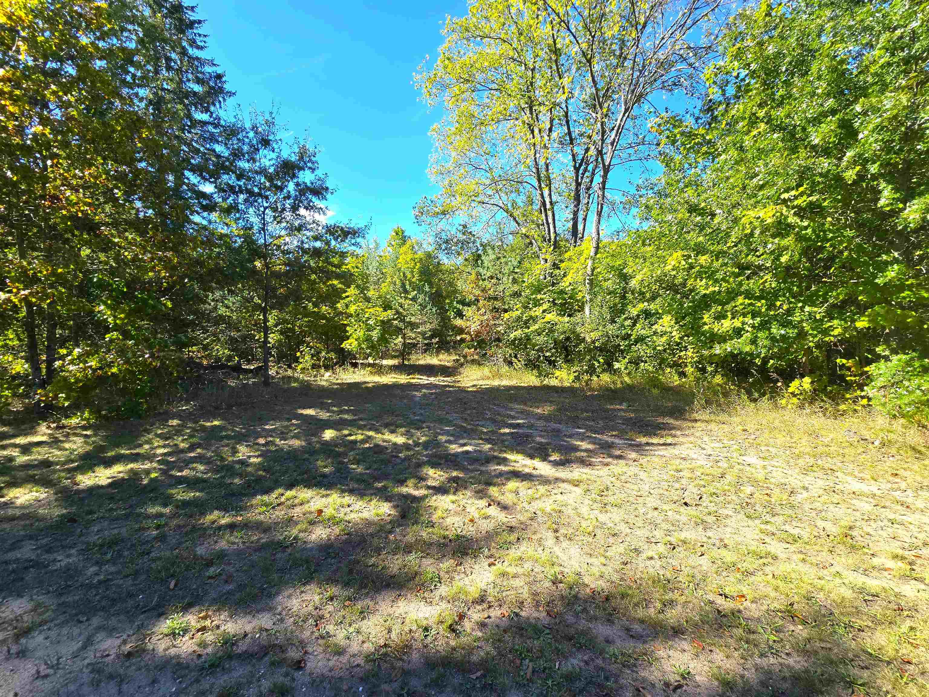 1471 North 7 Road Mesick, MI 49668 - Photo 27 of 37 Gallery Image 27