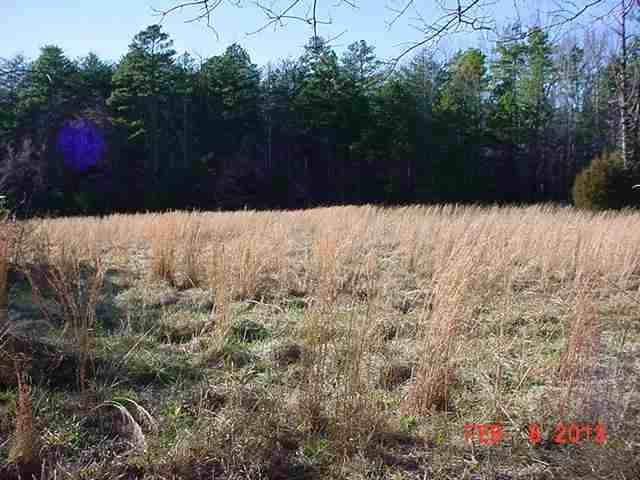 130 Wentink Road Central, SC 29630 - Photo 3 of 8