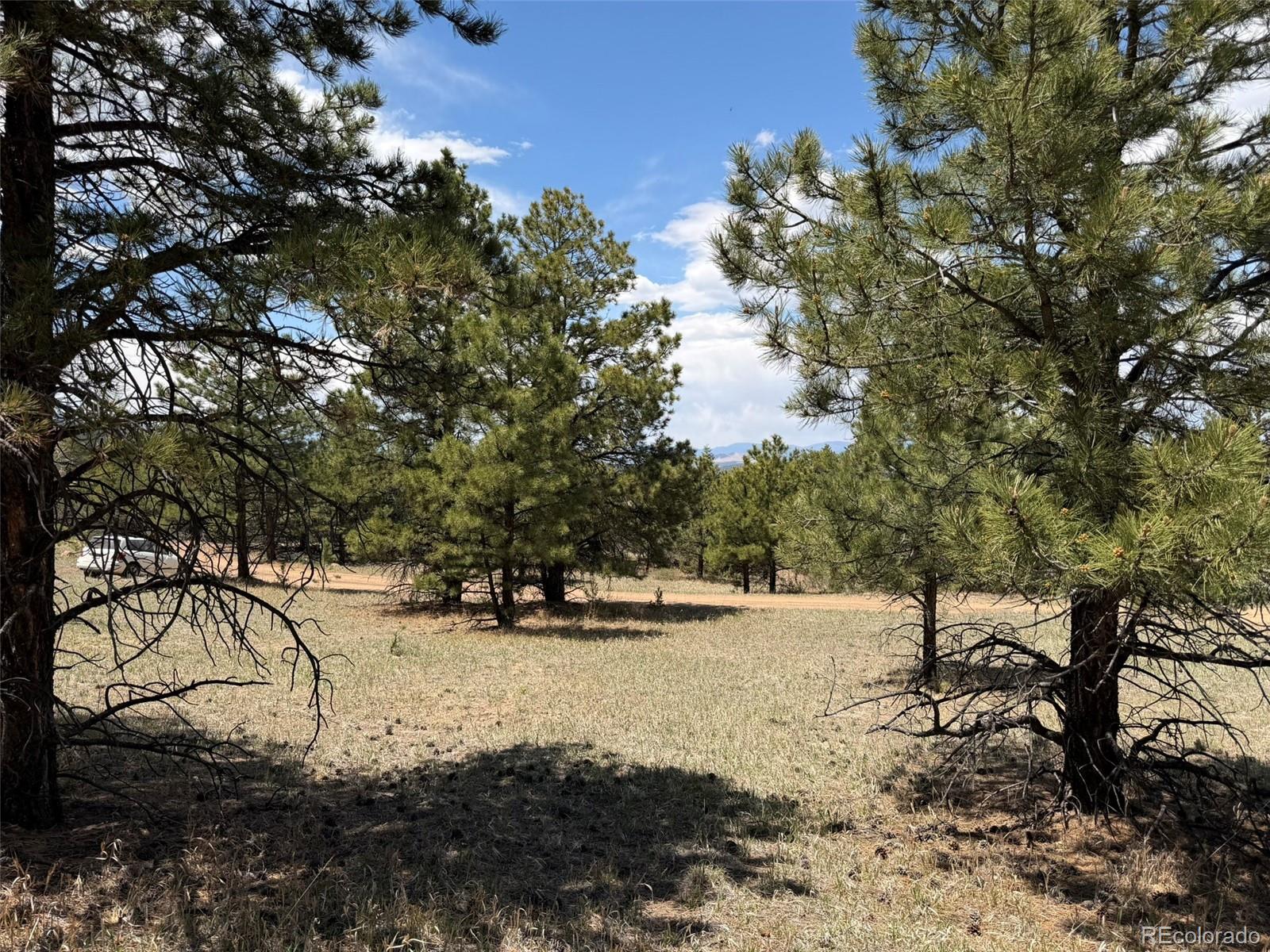 477 Bear Peak Road Westcliffe, CO 81252 - Photo 35 of 39