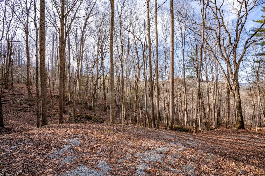 344 Old Reece Road Banner Elk, NC 28604 - Photo 2 of 44 Gallery Image 2