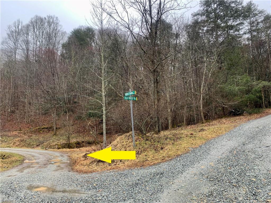 344 Old Reece Road Banner Elk, NC 28604 - Photo 39 of 44 Gallery Image 39