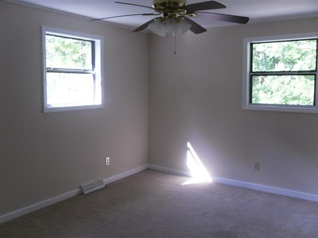 842 Upper Concord Road Ten Mile, TN 37880 - Photo 10 of 19 Gallery Image 10