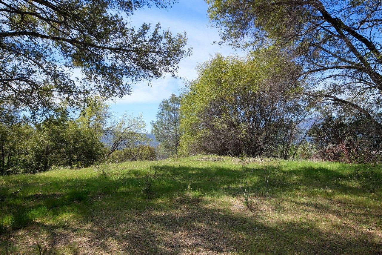 40640 Taylor Mountain Road Oakhurst, CA 93644 - Photo 49 of 62 a big yard with lots of green space