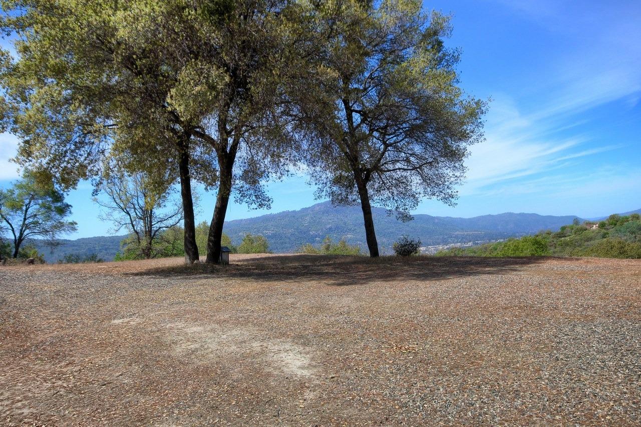 40640 Taylor Mountain Road Oakhurst, CA 93644 - Photo 51 of 62 a view of dirt yard with a large tree
