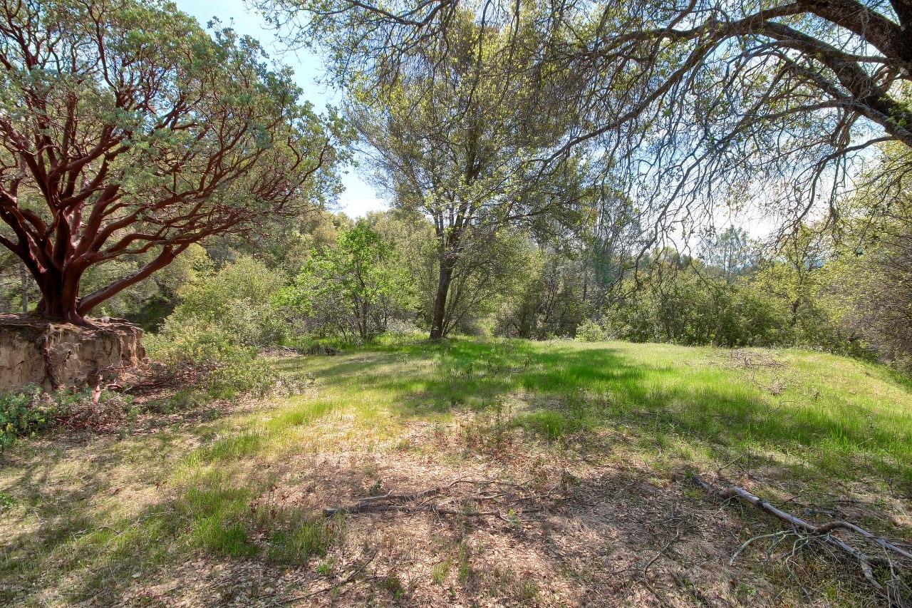 40640 Taylor Mountain Road Oakhurst, CA 93644 - Photo 52 of 62