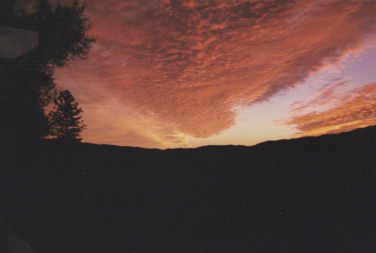 40640 Taylor Mountain Road Oakhurst, CA 93644 - Photo 59 of 62