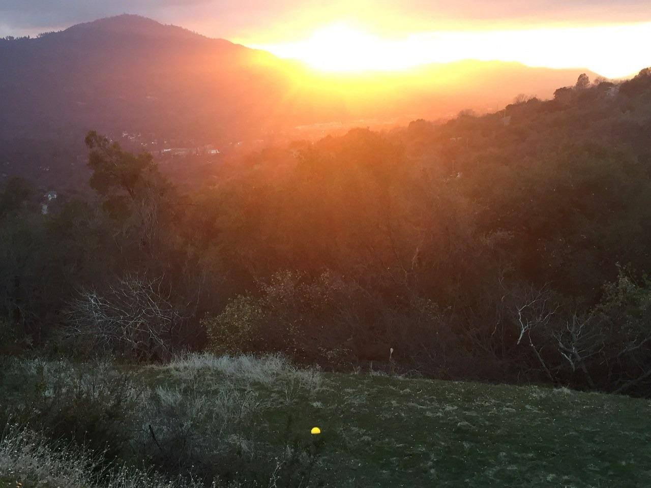 40640 Taylor Mountain Road Oakhurst, CA 93644 - Photo 61 of 62 a view of a field