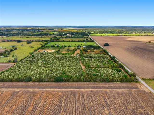 $78,400 | Lot 10 Cow Creek Road, Damon, TX 77430