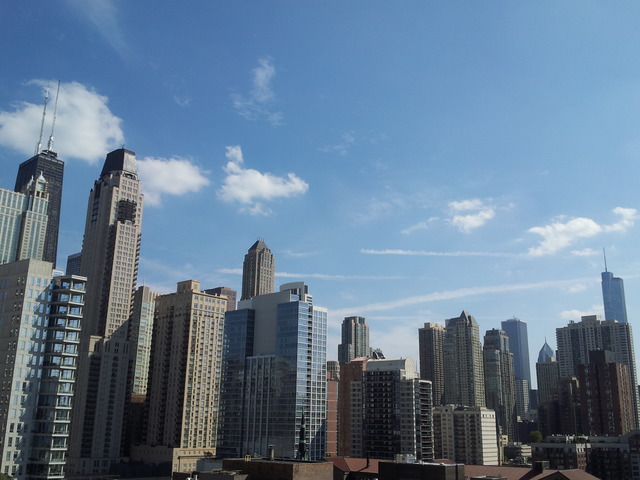 111 West Maple Street, Unit 1106 Chicago, IL 60610 - Photo 2 of 12